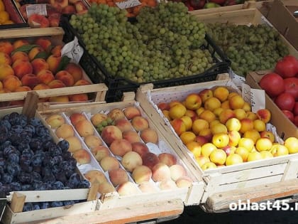 В Курганской области продавали запрещённые саженцы фруктовых деревьев