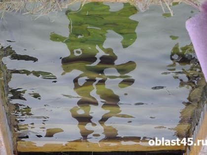 Укрепляет дух: курганский депутат Татьяна Хильчук окунулась в крещенскую купель