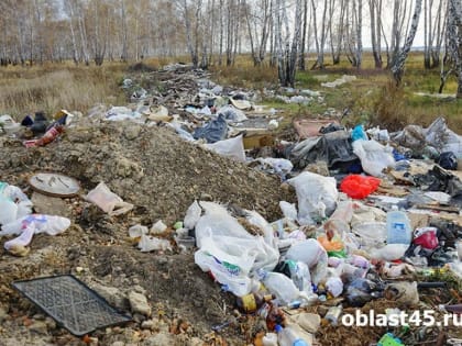 В Кургане суд обязал устранить санитарное неблагополучие на Шуховском полигоне
