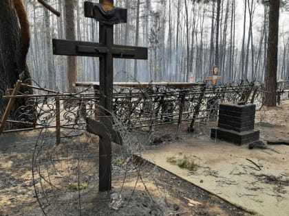 На кладбище под Курганом нелегально хоронят покойников