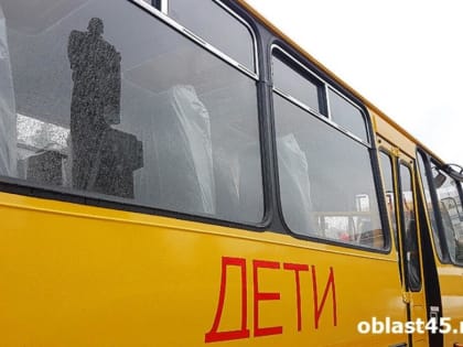 Некоторые курганские школьники будут учиться дистанционно