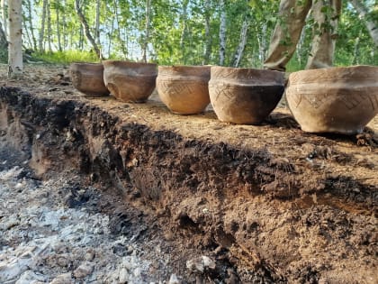 Студенты КГУ завершили археологическую практику в Челябинской области