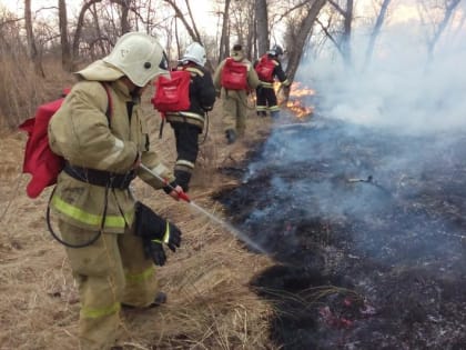 В Курганской области разрешение на посещение леса продержалось 4 дня