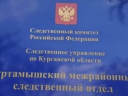 В Куртамыше нетрезвый водитель травмировал инспектора ДПС