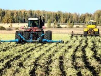 Уборочная кампания в Курганской области: успехи и достижения аграриев