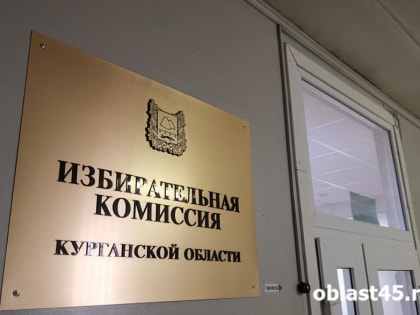 В курганском избиркоме рассказали о подготовке к осенним выборам