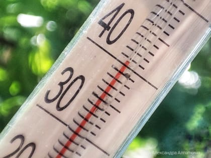 В Курганской области 5 июня прогнозируют порывы ветра до 20 метров в секунду