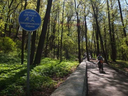 Зауральцы рассказали, чего не хватает в регионе для досуга пожилых людей