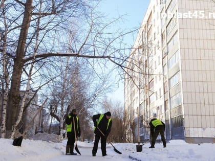В Кургане улицы и пешеходные переходы очистили от снега