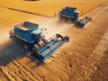 Курганские аграрии обмолотили более 550 тысяч гектаров