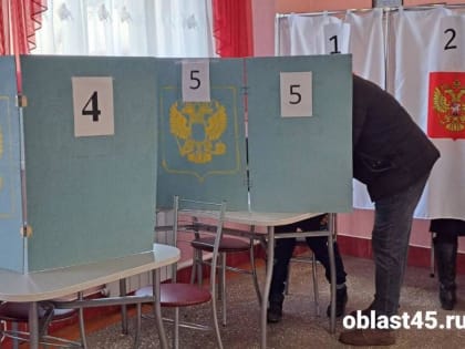 За 2 дня выборов президента явка в Курганской области составила 61,8%