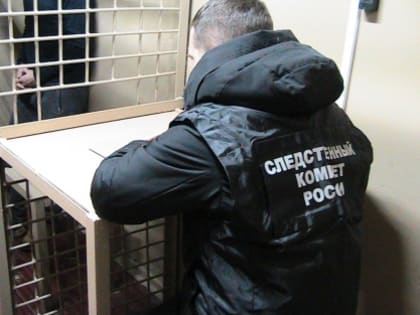 В Шадринске следователи установили лицо, причастное к совершению убийства местного жителя