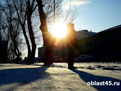 В Шадринске горожане решают судьбу общественных территорий
