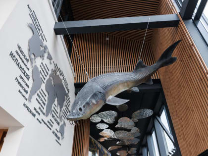 Юбилейный XV Сибирский муниципальный форум в Кургане