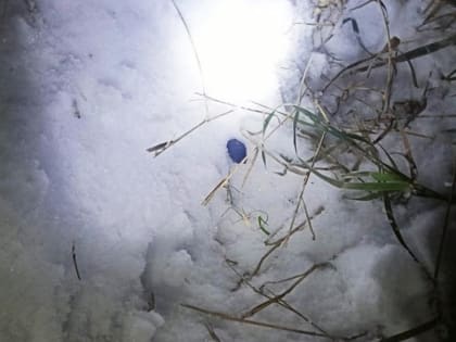 Курганец не успел разложить по тайникам 19 свёртков с наркотиком