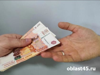 Заместитель Шумкова рассказал курганцам о том, как начать много зарабатывать