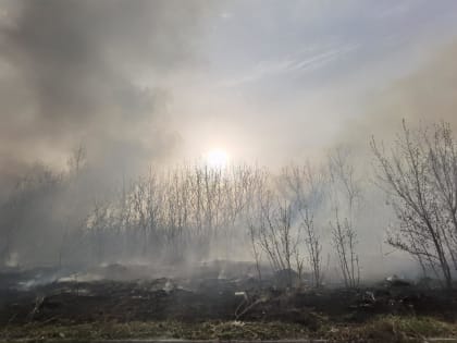 В Курганской области собираются ввести особый противопожарный режим