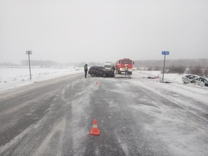 В Далматовском округе неопытный водитель вылетел на встречную полосу и лишил жизни двух своих пассажиров