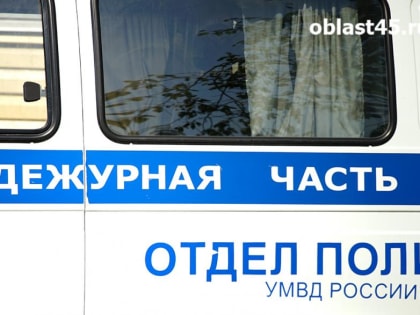 Полицейские изъяли оружие у жителя Кетовского округа