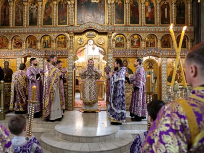 Митрополит Даниил: «Преподобный Иоанн Лествичник даёт инструкцию спасения наших душ»