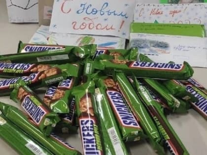 «Новый год в каждый дом». Курганцы приняли участие во Всероссийской акции