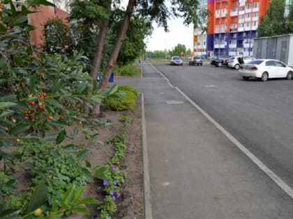 Оцените уровень благоустройства вашего двора