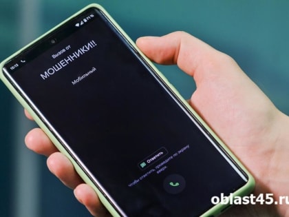 Жительница Зауралья перевела мошенникам почти миллион рублей