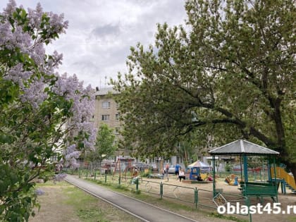 В Курганской области выберут лучший двор