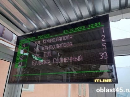 Курганские остановки стали умными