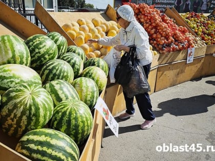 Курган: Борьба с нелегальной торговлей продолжается
