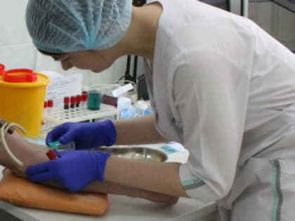 В Курганской области  клещевой энцефалит обнаружили у пяти взрослых и одного ребенка