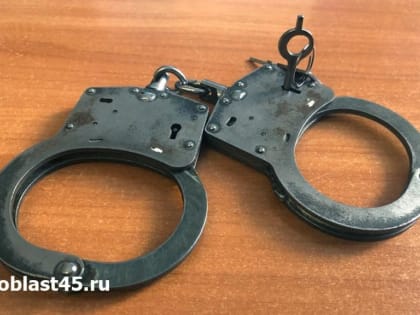 За драку с полицейским зауралец отправится в колонию