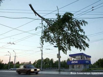 В Курганской области прогнозируют порывы ветра до 22 метров