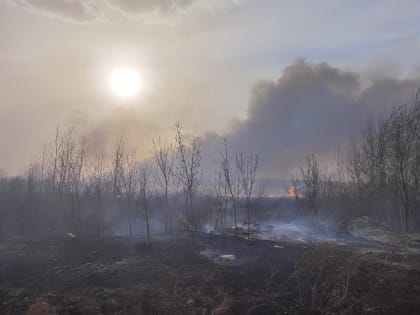 Курганцы стали чаще сообщать о нарушении правил пожарной безопасности