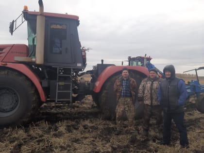 ПОСЛЕДНИЕ ШТРИХИ  НА КАРТИНЕ ПОЛЕЙ