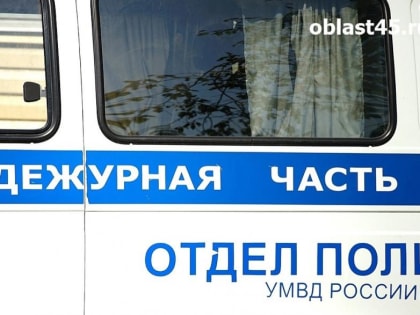 Двух пьяных курганцев усмиряли два экипажа полиции