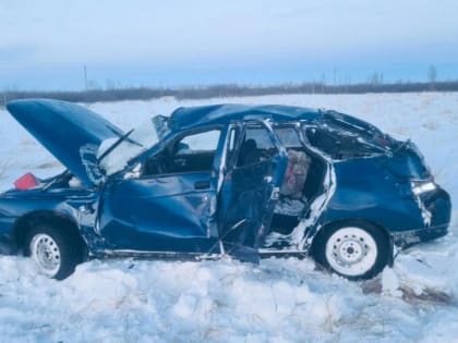 В Зауралье водителя «двенашки» госпитализировали после съезда с дороги