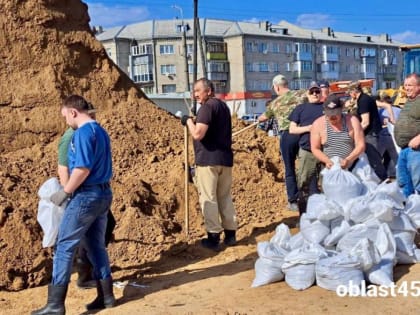 В Кургане участники СВО помогают укреплять дамбу в Восточном