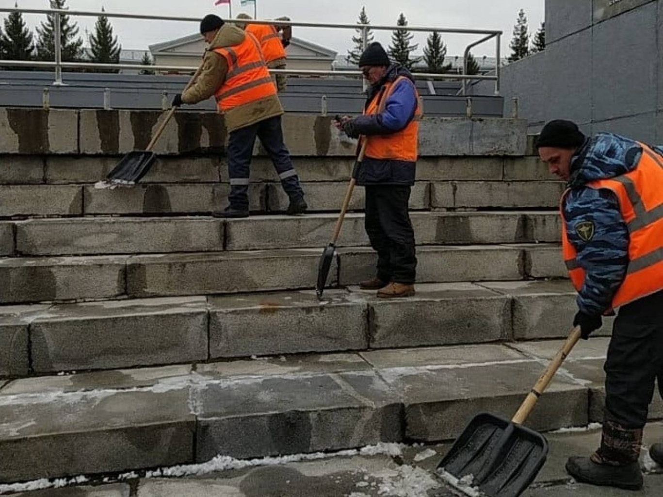 Дирекция городских парков