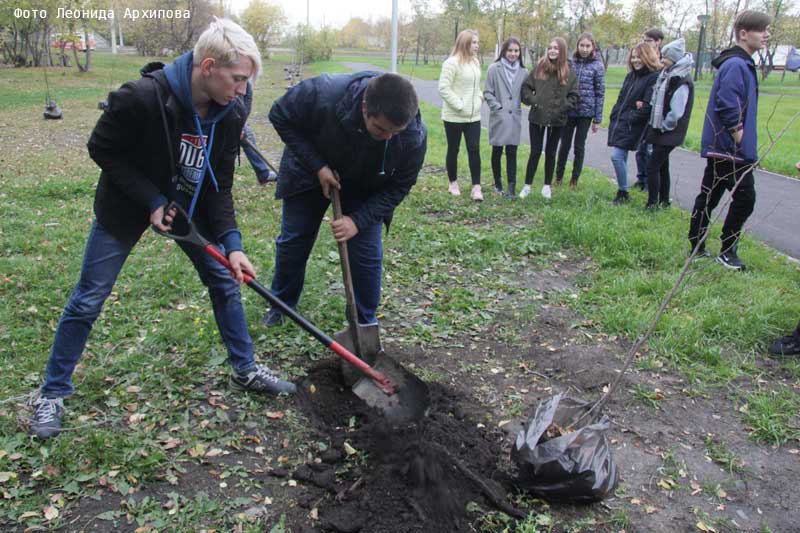 Общество кургана. Сквер географов Курган. Сквер им Пичугина Курган. Новости Кургана и Курганской области свежие. Курганская и Черкутдинова.