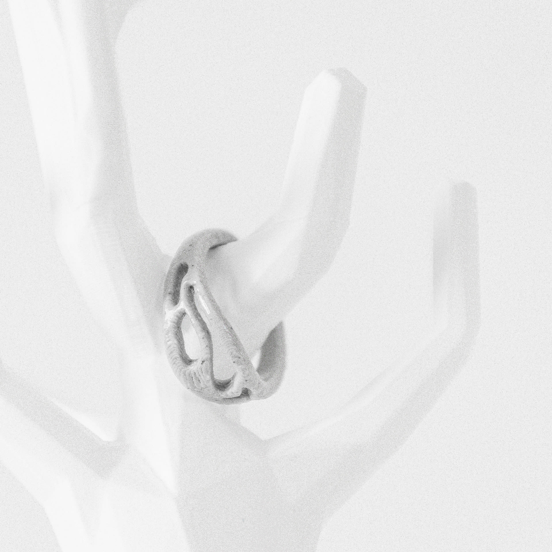 Briga ring Briga ring