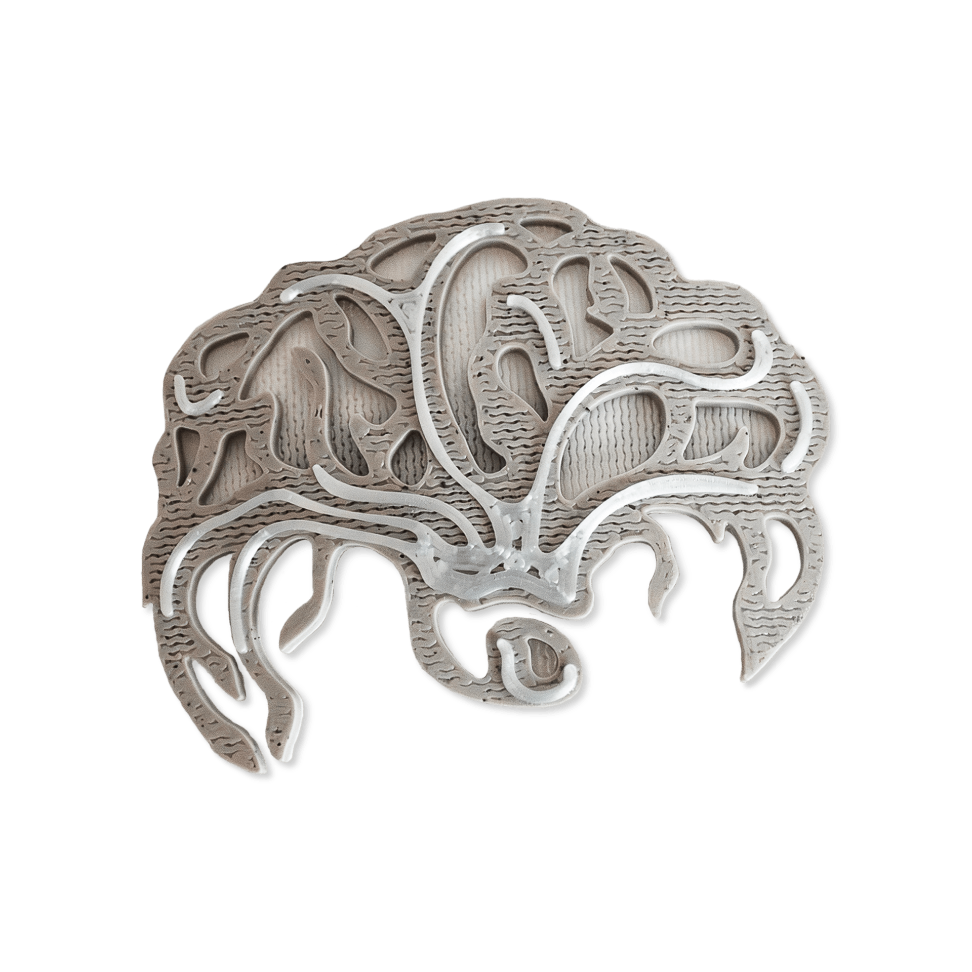 Eternia hair clip. Eternia hair clip.