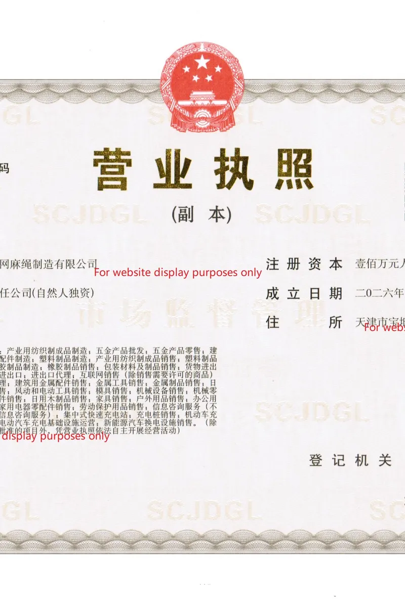CE Declaration of Conformity