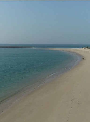 Overview Section 2