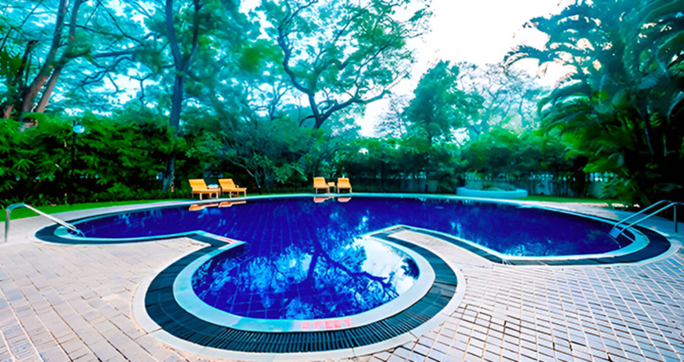 Pool Deck & Lawn
