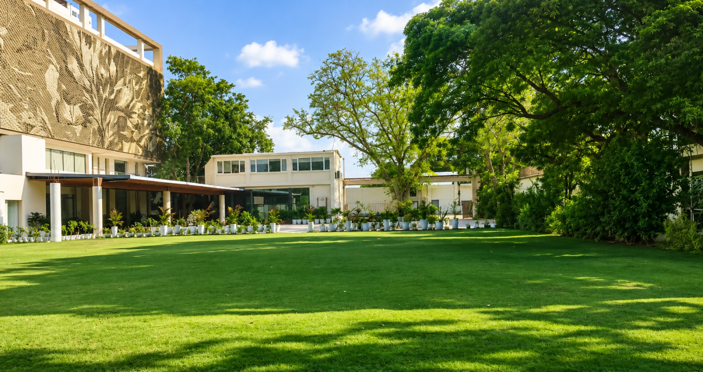 Lawn