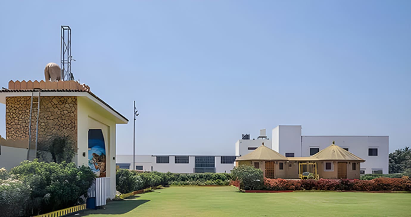 Lawn