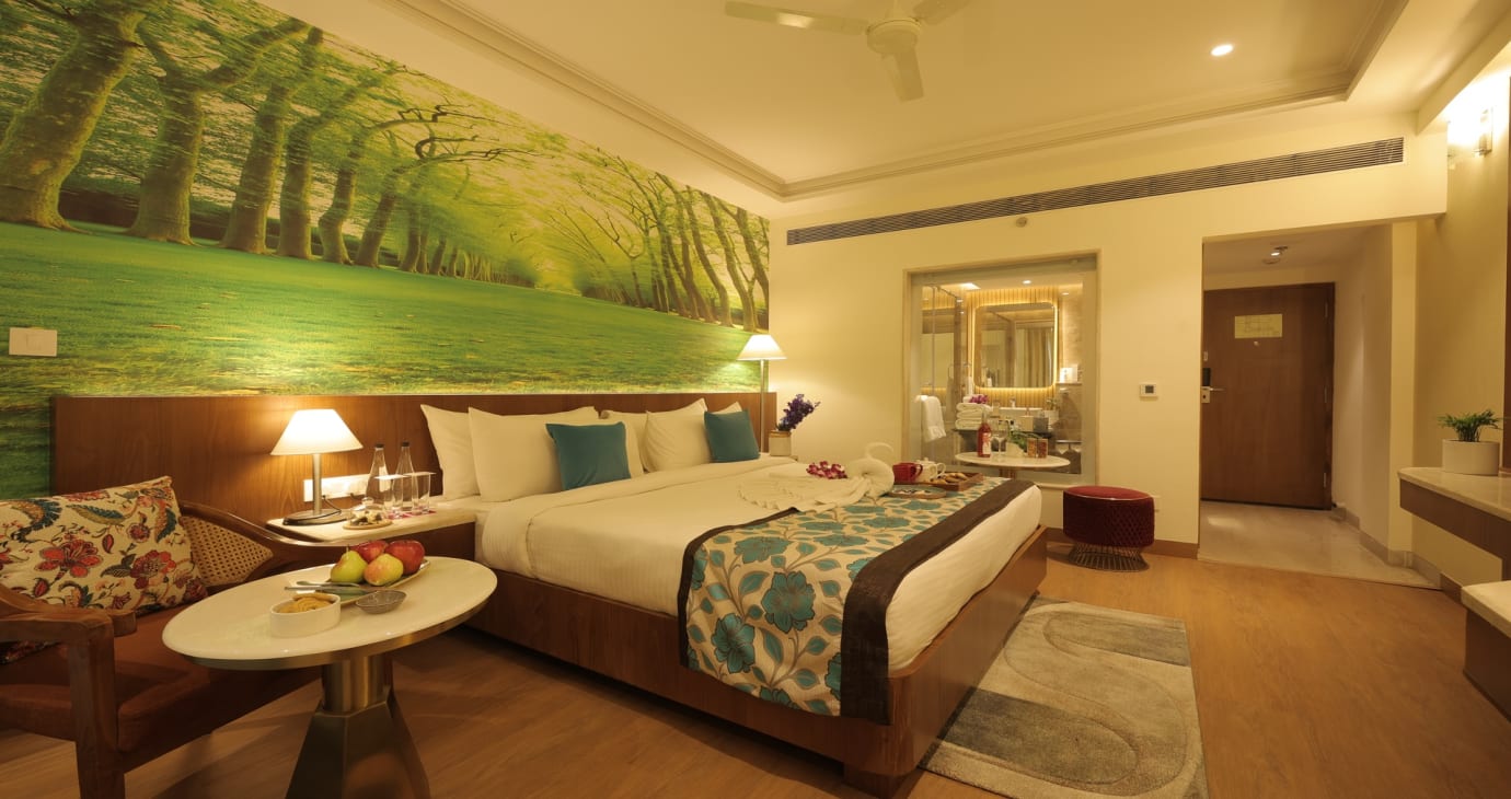 Premium Room
