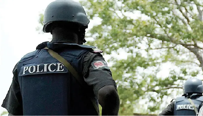 Delta Police Raid in Kokori Forest: 13 Suspected Cultists Arrested