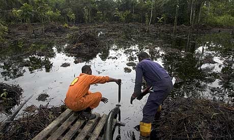 Oil Spill in Delta: What Residents Need to Know About Cleanup and Health Support Oil Spill in Delta: What Residents Need to Know About Cleanup and Health Support
